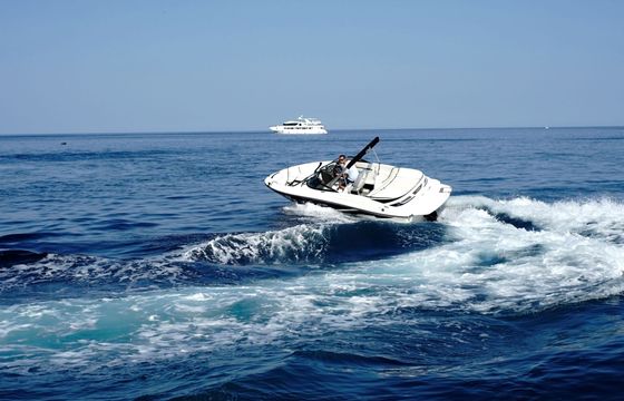 Motorboat SEA RAY 190 SPORT 220hp
