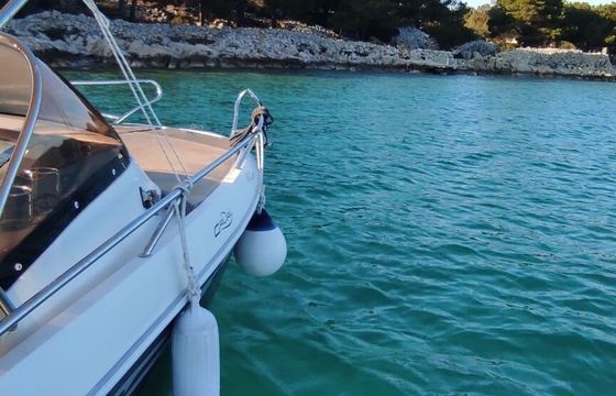 Motorboat Galia Sundeck 630 150hp