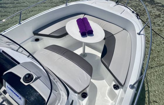 Motorboat Jeanneau Cap Camarat 6.5 Cc 150hp