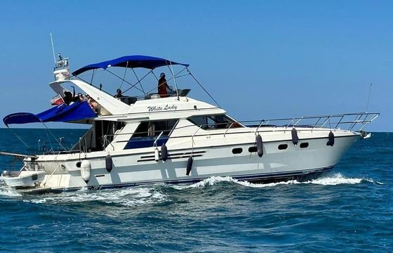 Motorboat PRINCESS 55 980hp