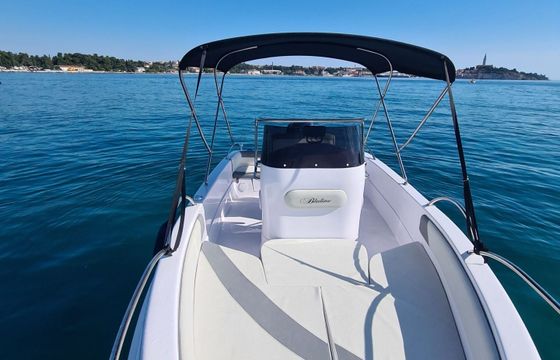 Motorboat Bluline Bluline 19 115hp