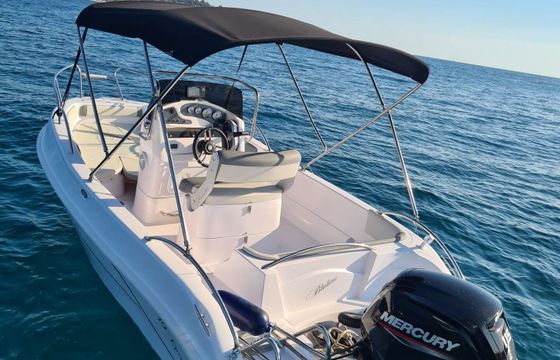 Motorboat Bluline Bluline 19 115hp