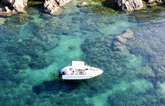 Motorboat Pacific Craft 690 Day Cruiser 200hp
