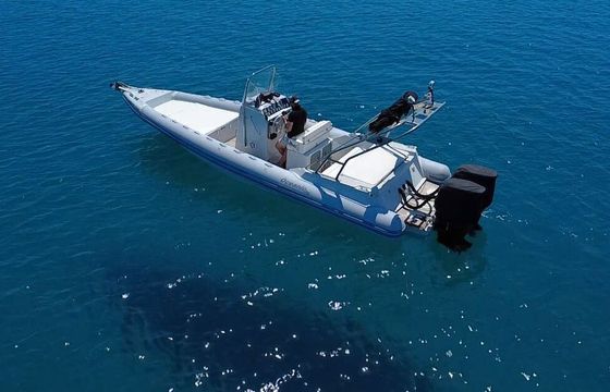 RIB OCEANIC 900 350hp