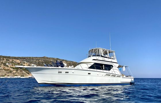 Motor yacht Hatteras 50 Convertible 1600hp