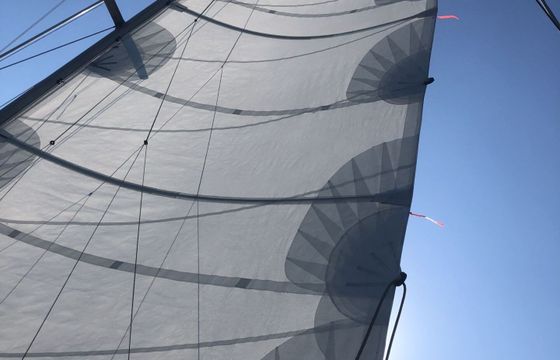 Sailboat Elan Elan 43 13m
