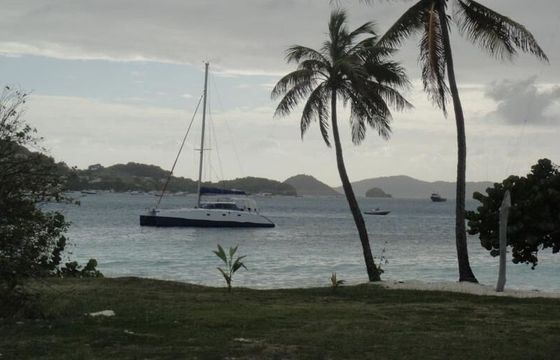 Catamaran Muticap Caraibes Punch 12.50 12.75m
