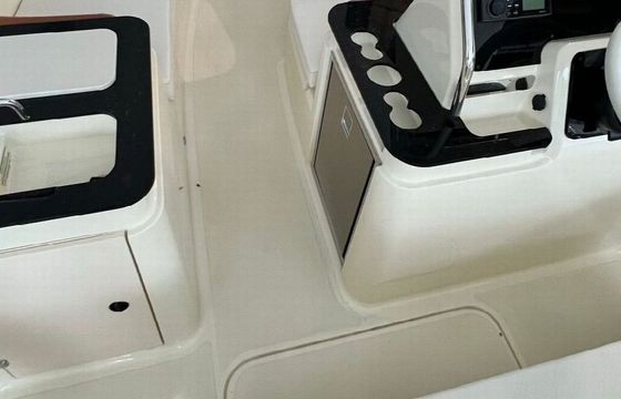 Motorboat INVICTUS INVICTUS 200 84hp