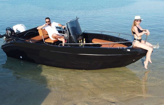 Boat without licence  Poseidon Blue Water 170 30hp