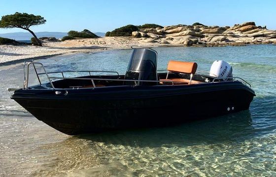 Boat without licence  Poseidon Blue Water 170 30hp