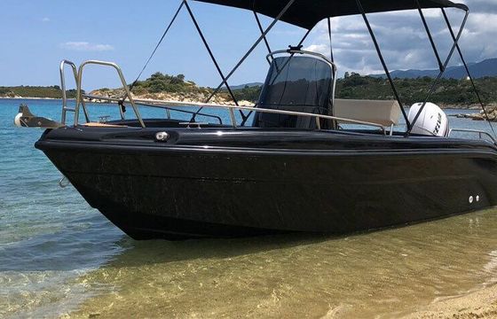 Boat without licence  Poseidon Blue Water 170 30hp