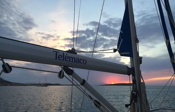 Sailboat Bavaria 42 12.95m