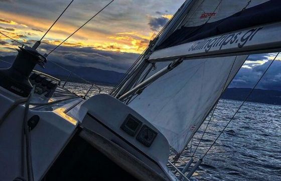 Sailboat Elan Elan 37 Performance 11.33m