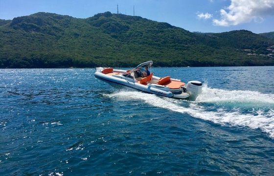 RIB Marlin 24 SR 250hp