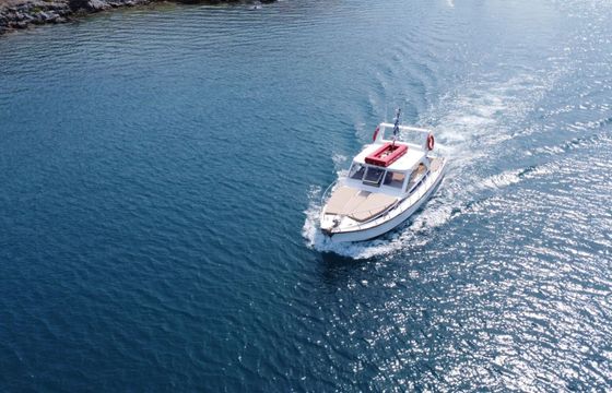 Motorboat Poseidon 1993 400hp