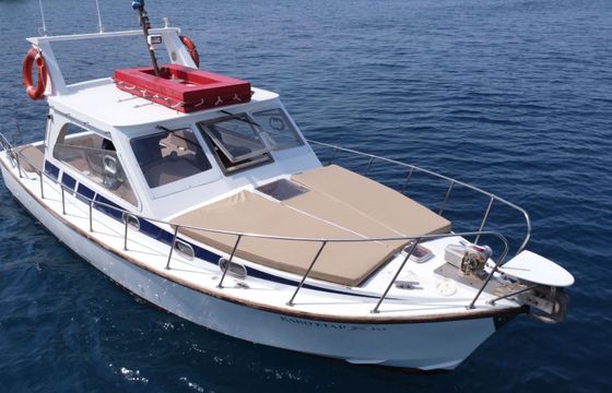 Motorboat Poseidon 1993 400hp