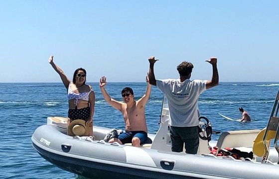 RIB Tiger Marine Proline 620 115hp