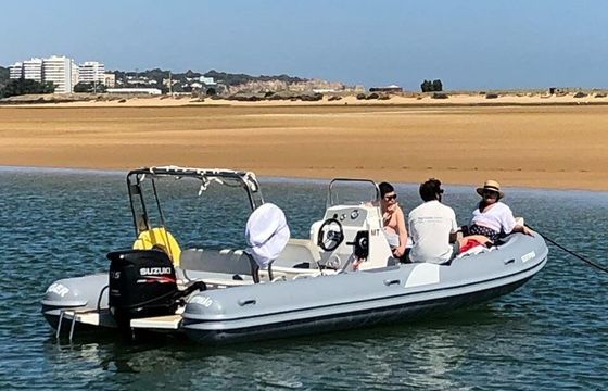 RIB Tiger Marine Proline 620 115hp