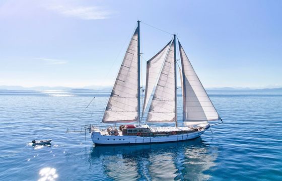 Gulet Custom Built 31.3m
