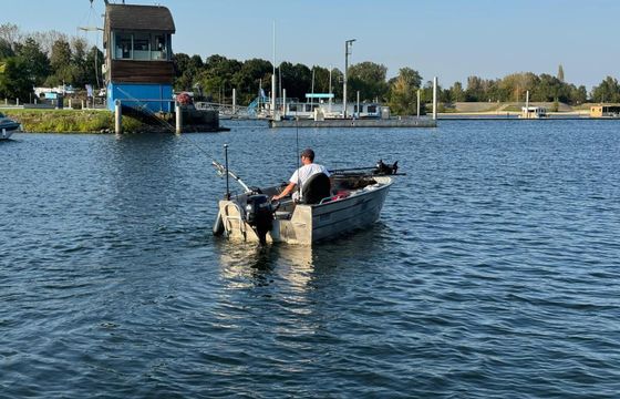 Boat without licence  Qwest 500 20hp