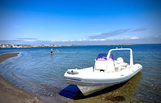 RIB Brig Eagle 645 115hp