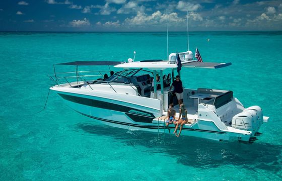 Motorboat Jeanneau Cap camarat 12.5 WA 900hp