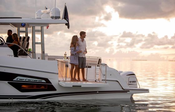 Motorboat Jeanneau Cap camarat 12.5 WA 900hp