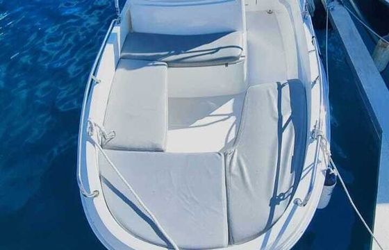Boat without licence  Remus 450 15hp