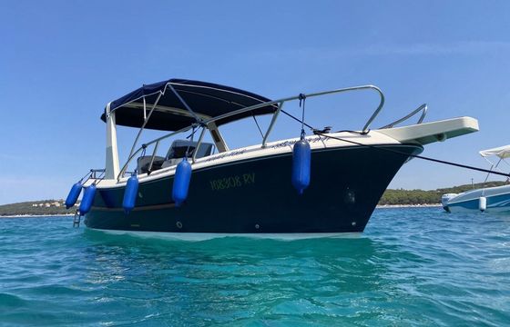 Motorboat Family boat with skipper Private boat 160hp