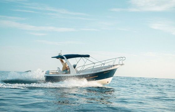 Motorboat Family boat with skipper Private boat 160hp