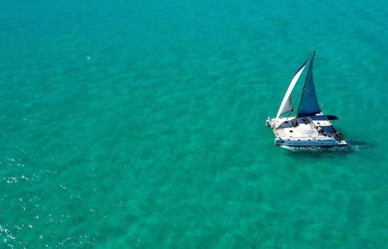 Catamaran jaguar 41' 12.5m
