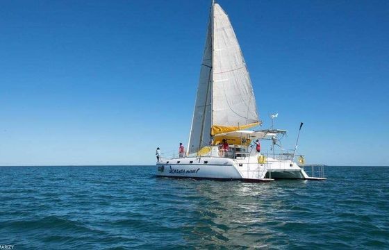 Catamaran jaguar 41' 12.5m