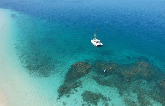 Catamaran jaguar 41' 12.5m