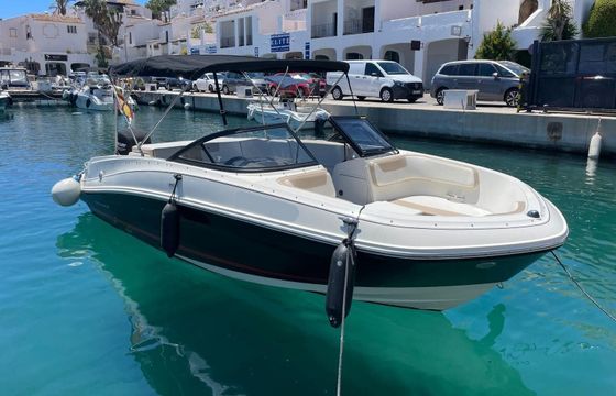 Motorboat Bayliner Vr5 150hp