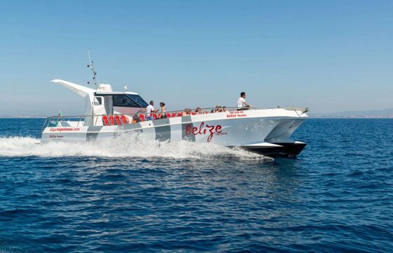 Catamaran Catamaran Custom 14m