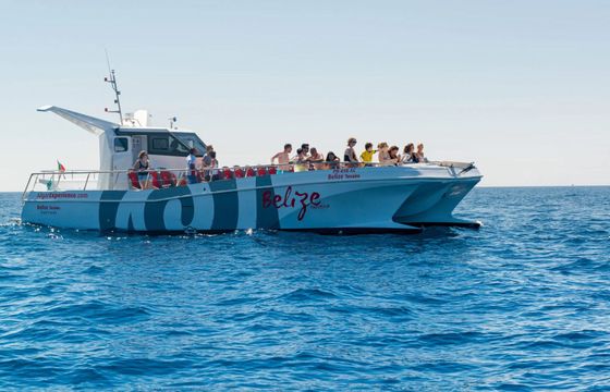 Catamaran Catamaran Custom 14m
