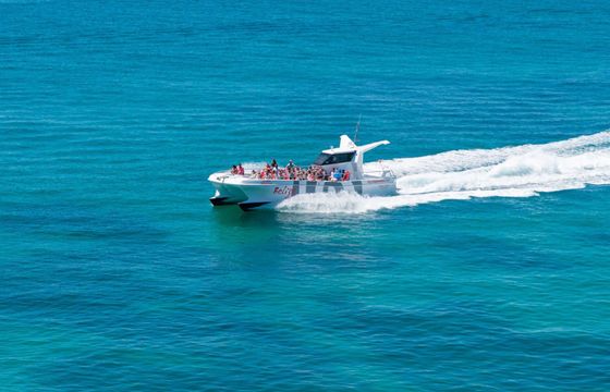 Catamaran Catamaran Custom 14m