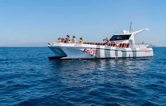 Catamaran Catamaran Custom 14m