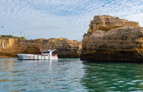 Catamaran Catamaran Custom 14m