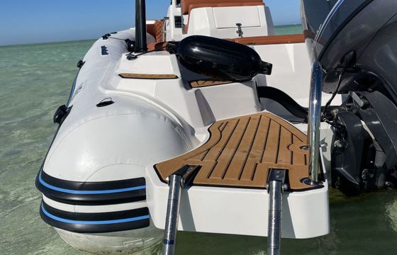 RIB Viga 2025 115hp