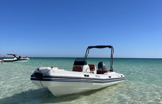 RIB Viga 2025 115hp