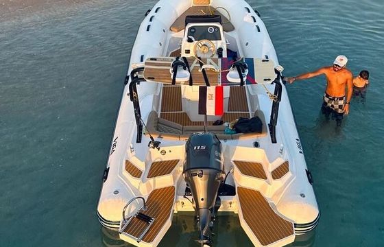 RIB Viga 2025 115hp