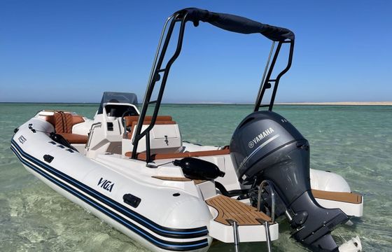 RIB Viga 2025 115hp