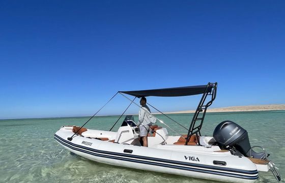 RIB Viga 2025 115hp