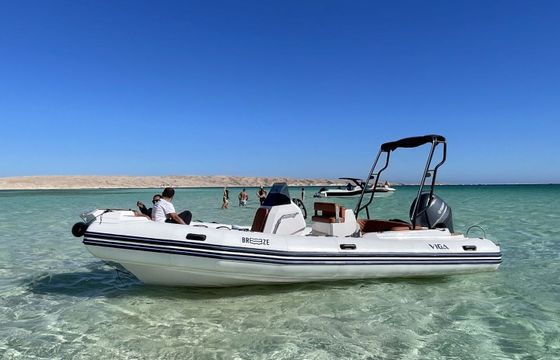 RIB Viga 2025 115hp