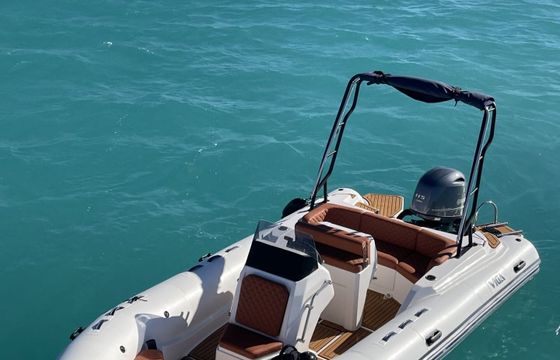 RIB Viga 2025 115hp