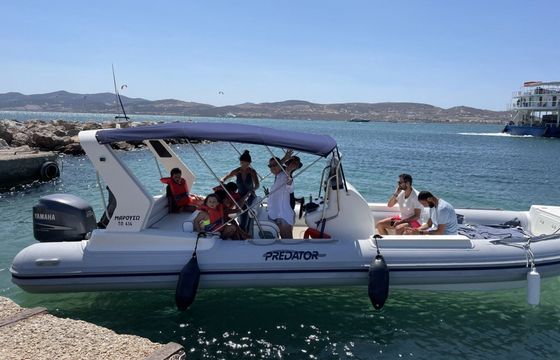 RIB 8 meters predator redone 2018 8M 250hp