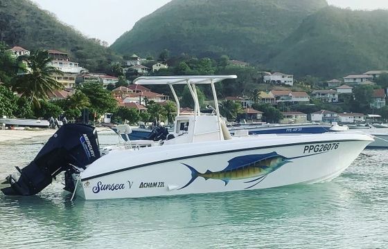 Motorboat Acham 22 L