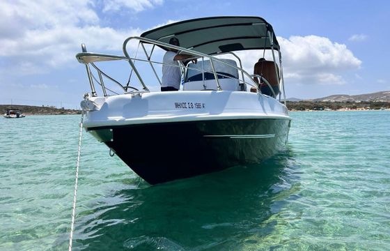 Motorboat Blue Max Blue Max 30hp