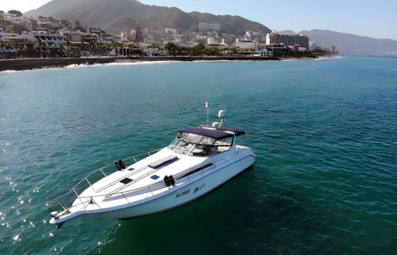 Motorboat Sea Ray Sea Ray 42